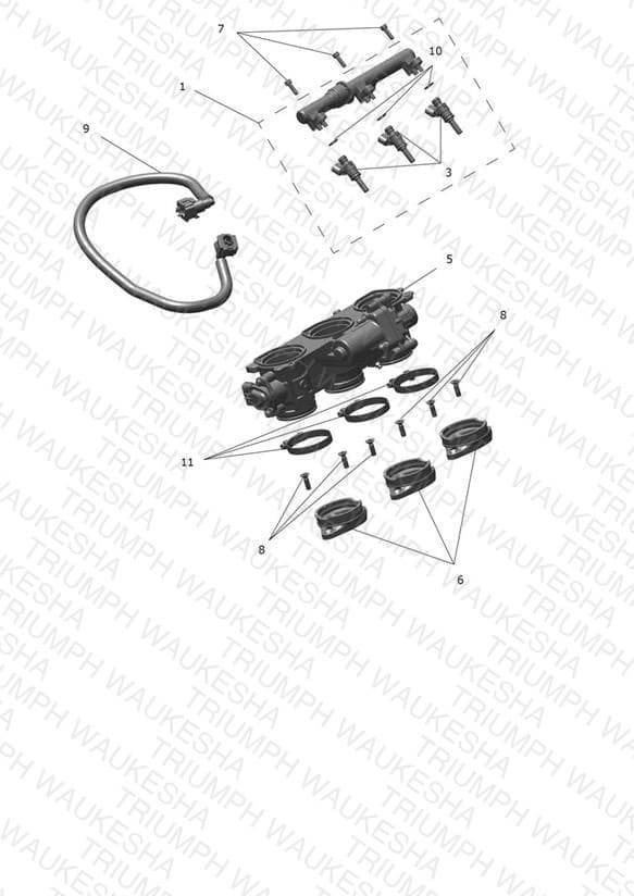 Assembly schematic