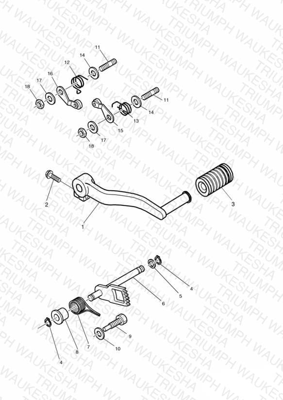Assembly schematic