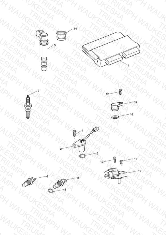 Assembly schematic