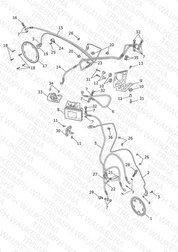 Assembly schematic