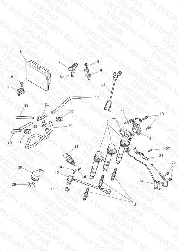 Assembly schematic
