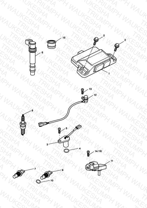 Assembly schematic