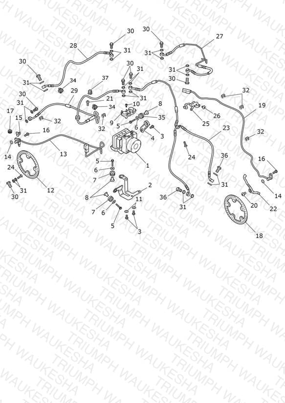 Assembly schematic