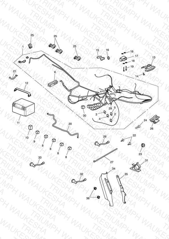 Assembly schematic