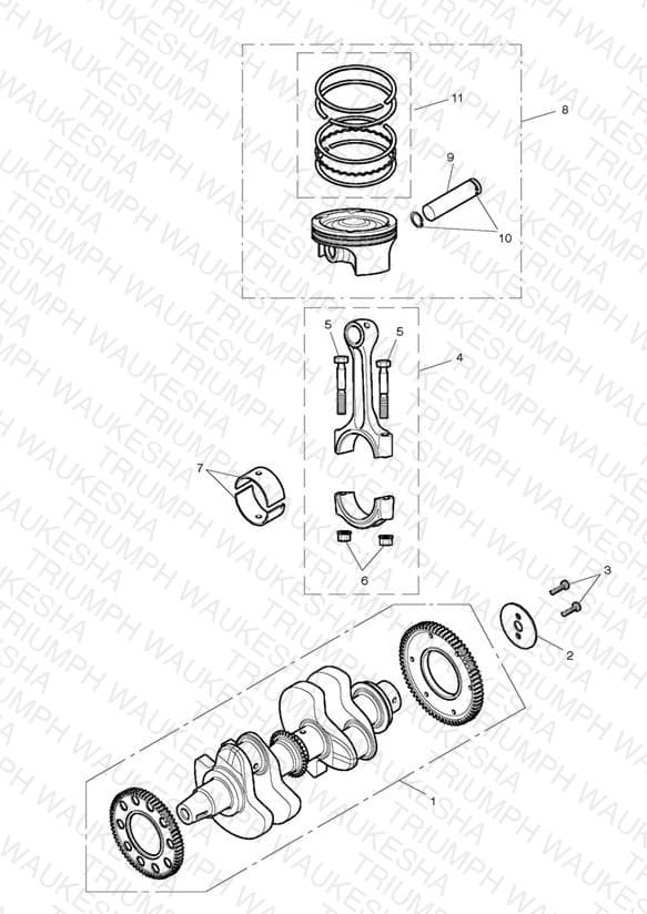 Assembly schematic