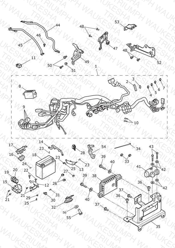 Assembly schematic