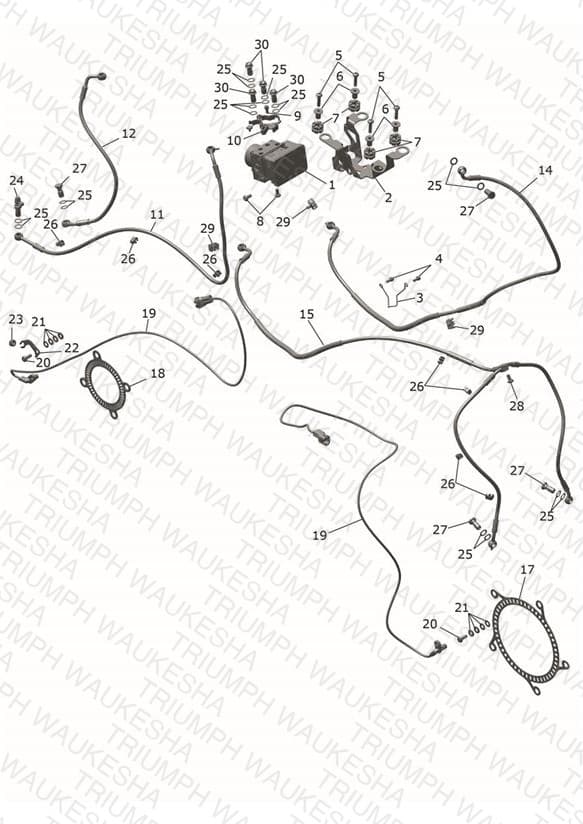 Assembly schematic