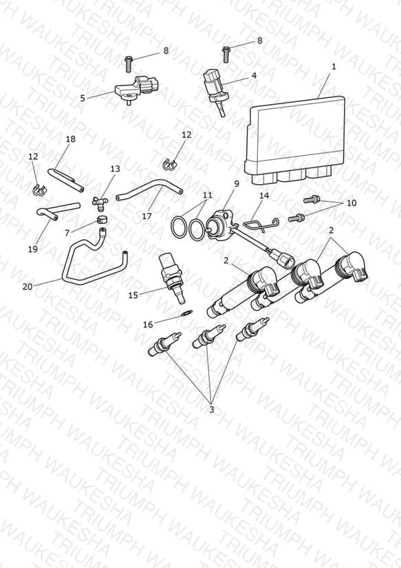 Assembly schematic