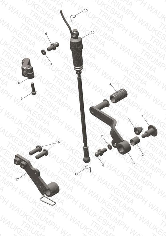 Assembly schematic