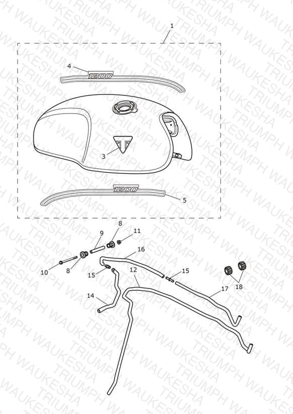 Assembly schematic