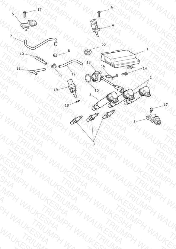 Assembly schematic