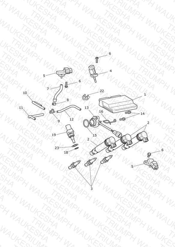 Assembly schematic