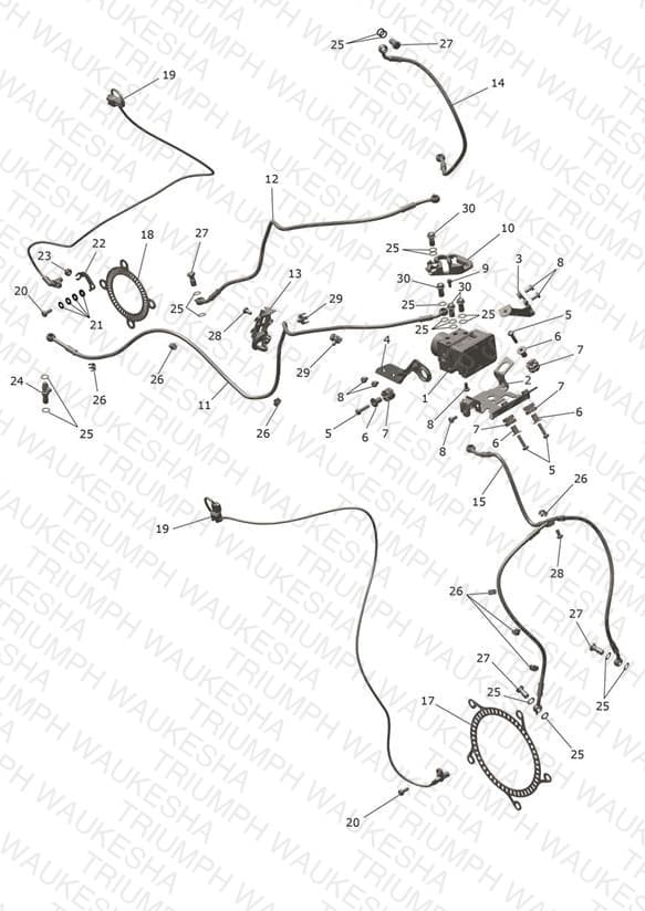 Assembly schematic