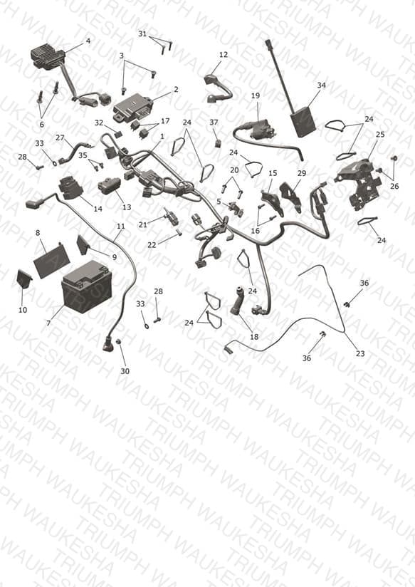 Assembly schematic