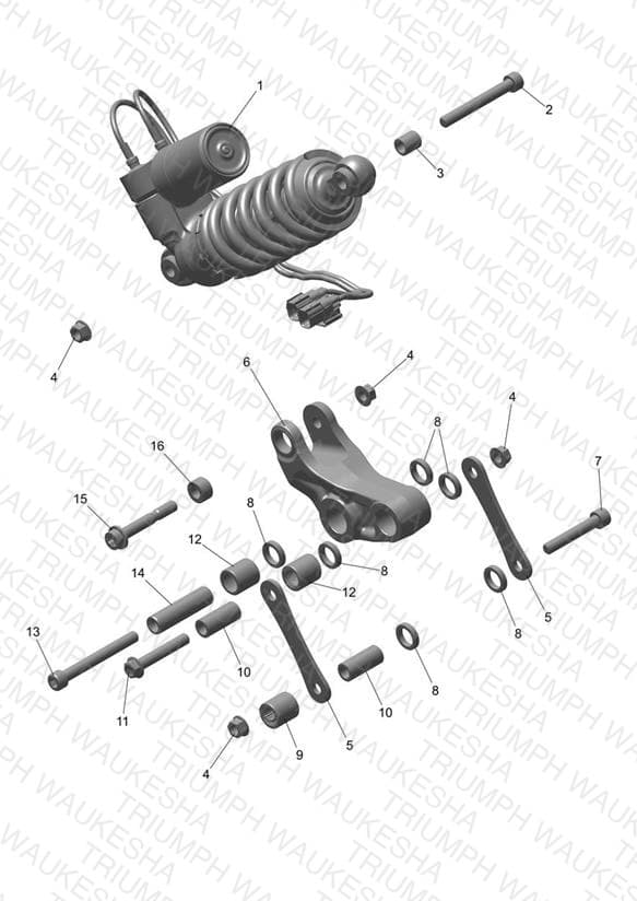 Assembly schematic
