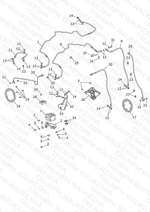 Assembly schematic