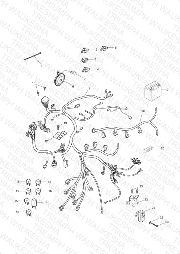 Assembly schematic
