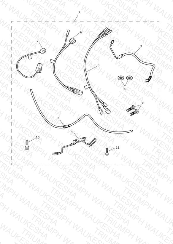 Assembly schematic