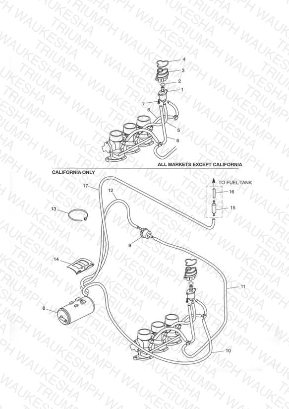 Assembly schematic