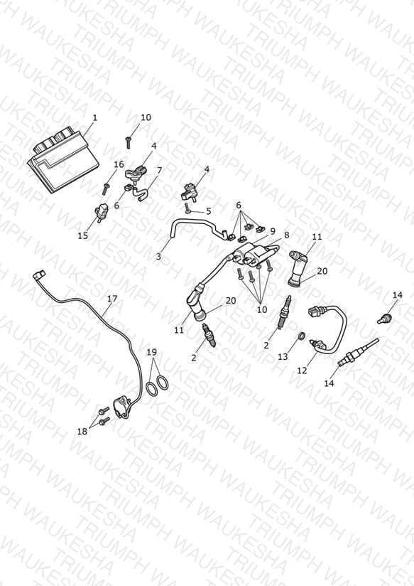Assembly schematic