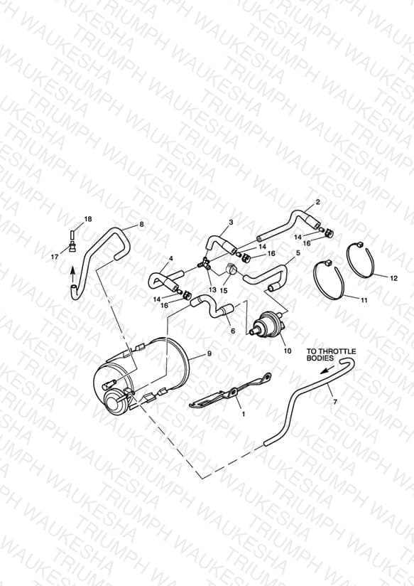 Assembly schematic