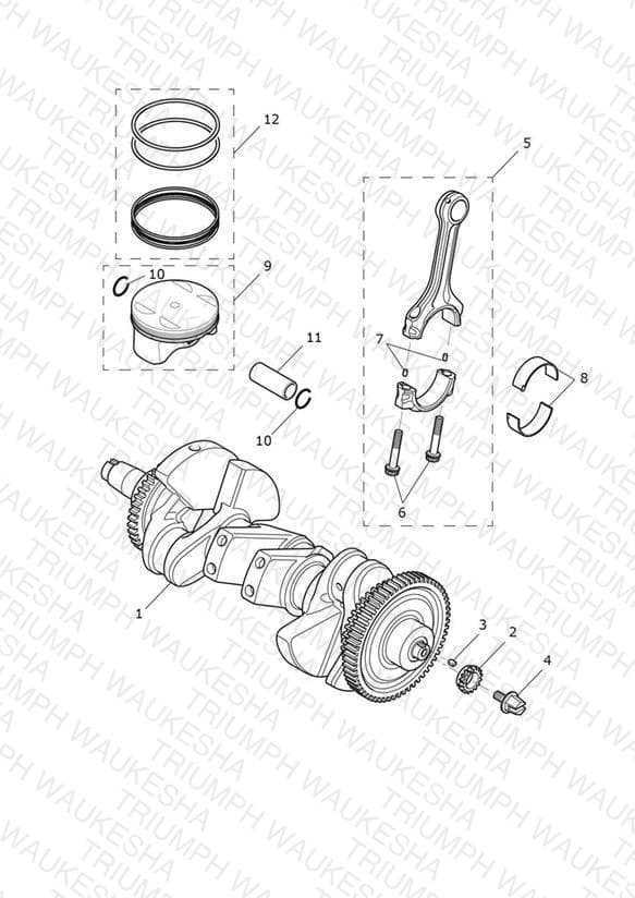 Assembly schematic