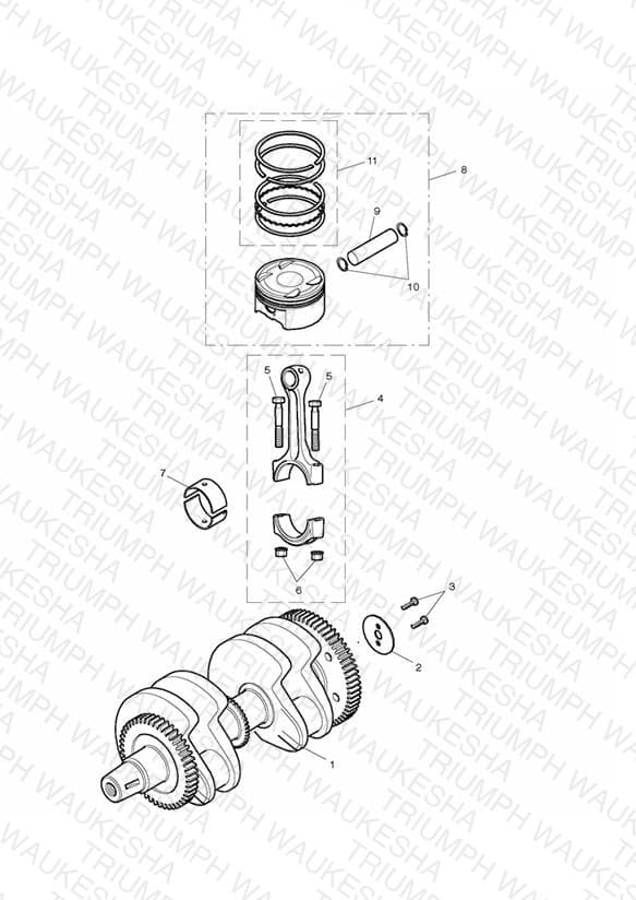 Assembly schematic