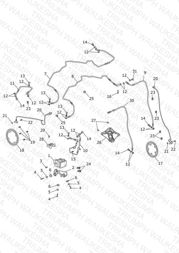 Assembly schematic