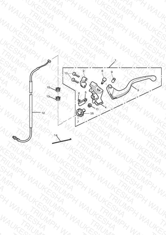 Assembly schematic