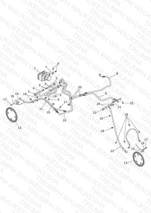 Assembly schematic
