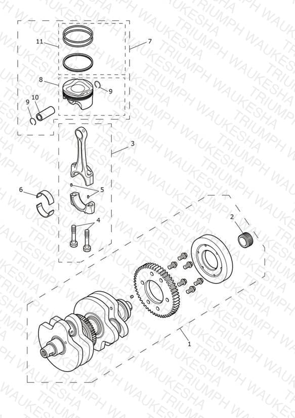 Assembly schematic