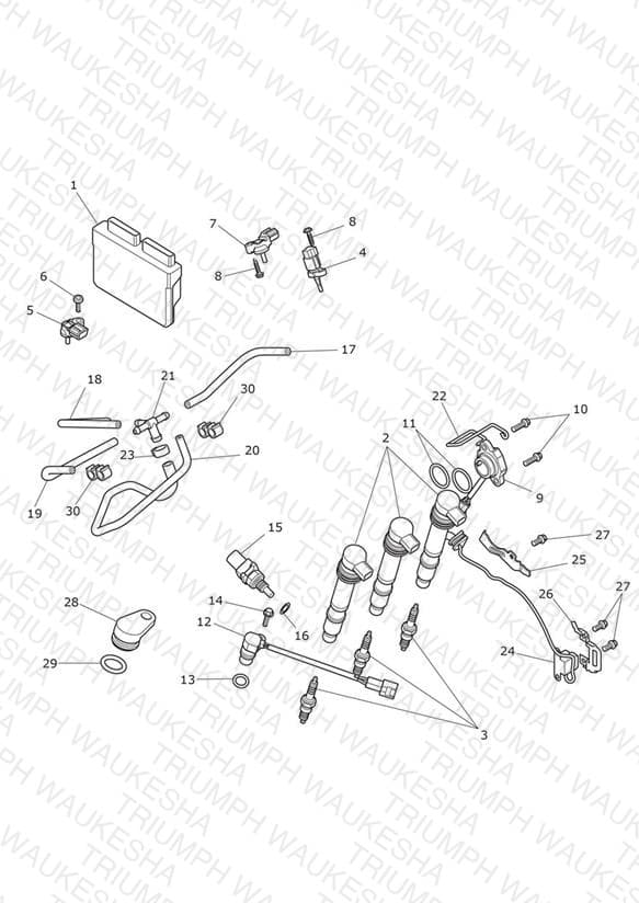 Assembly schematic