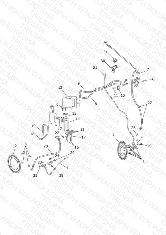 Assembly schematic