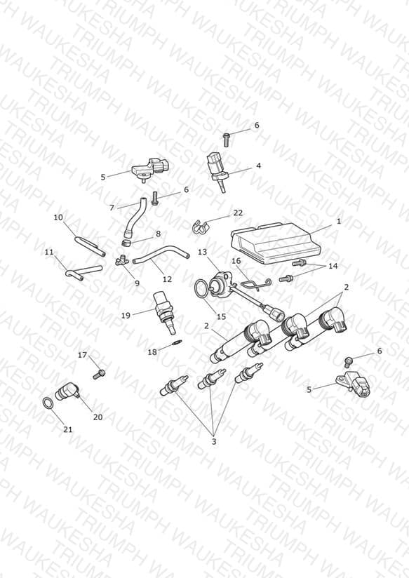 Assembly schematic