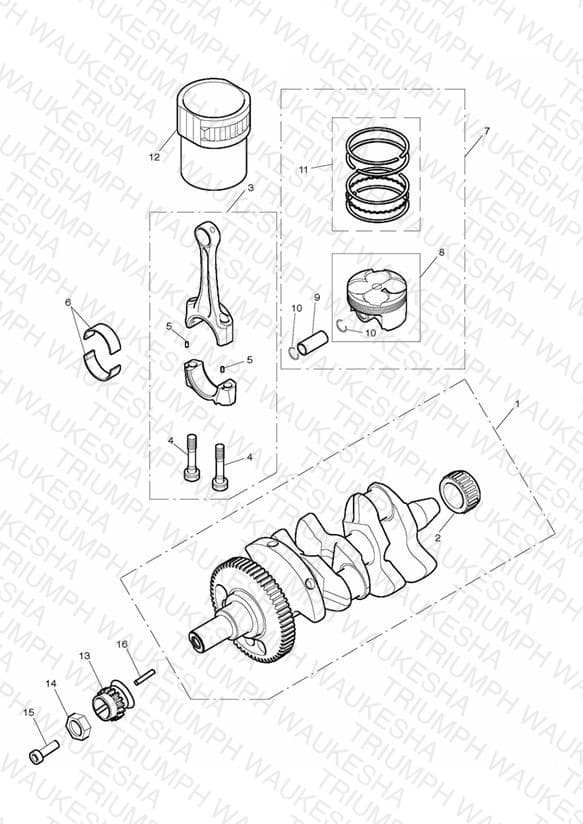 Assembly schematic