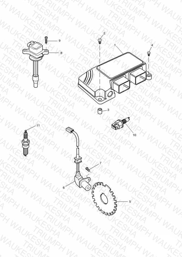 Assembly schematic