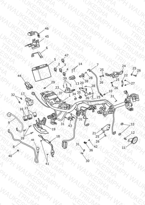 Assembly schematic