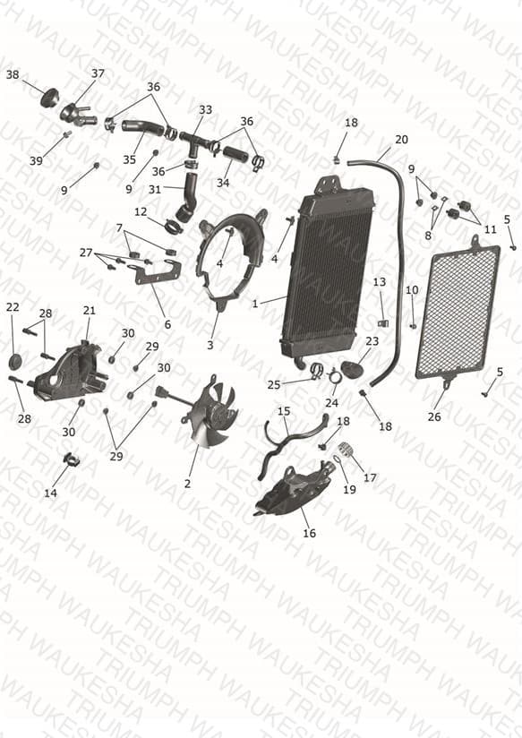 Assembly schematic