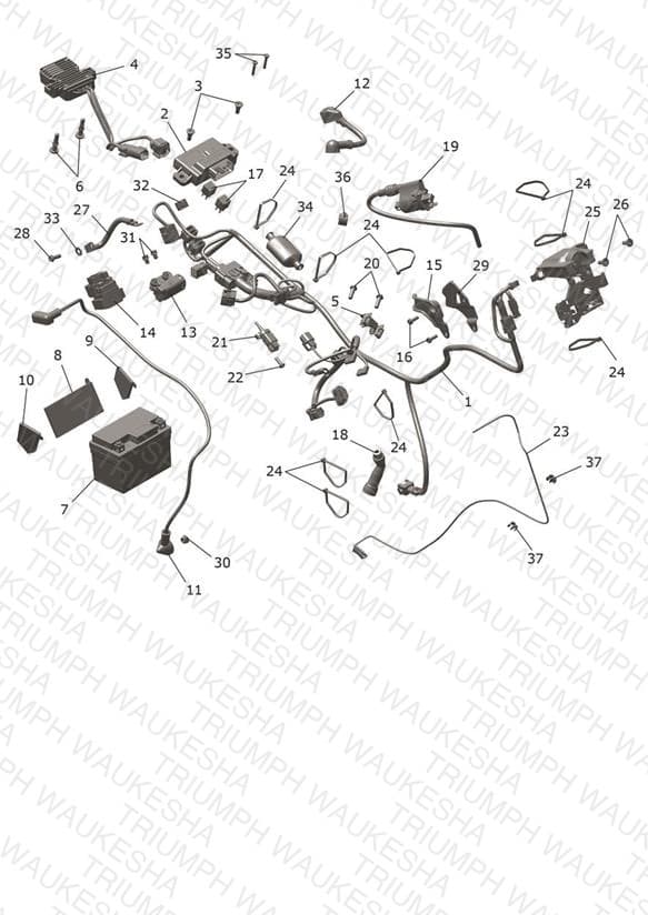 Assembly schematic