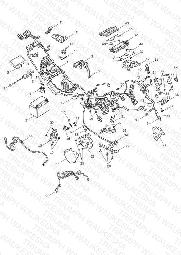 Assembly schematic