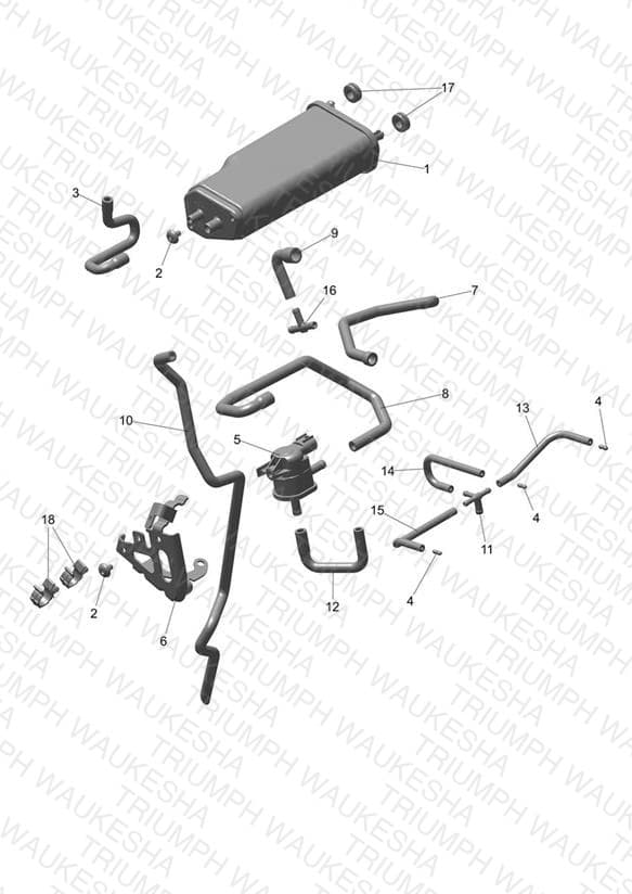 Assembly schematic