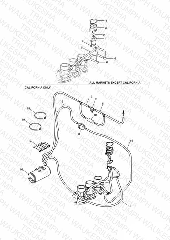 Assembly schematic