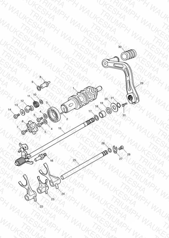 Assembly schematic