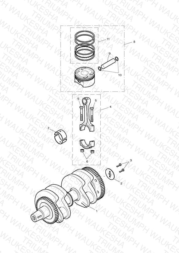 Assembly schematic