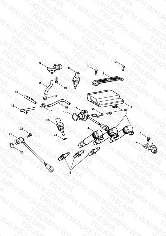Assembly schematic
