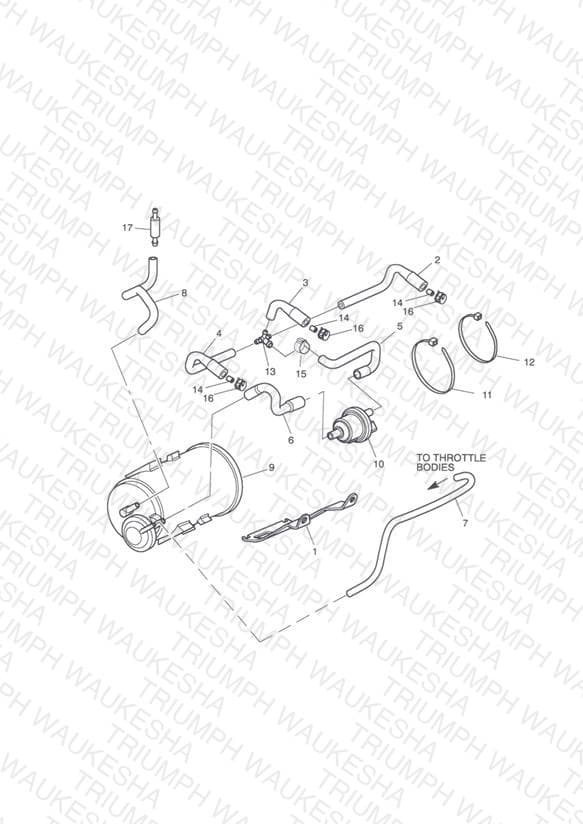 Assembly schematic