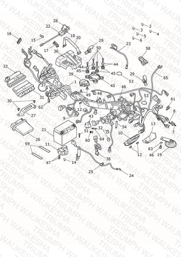 Assembly schematic