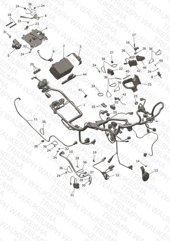 Assembly schematic