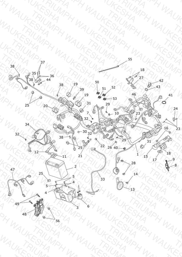 Assembly schematic