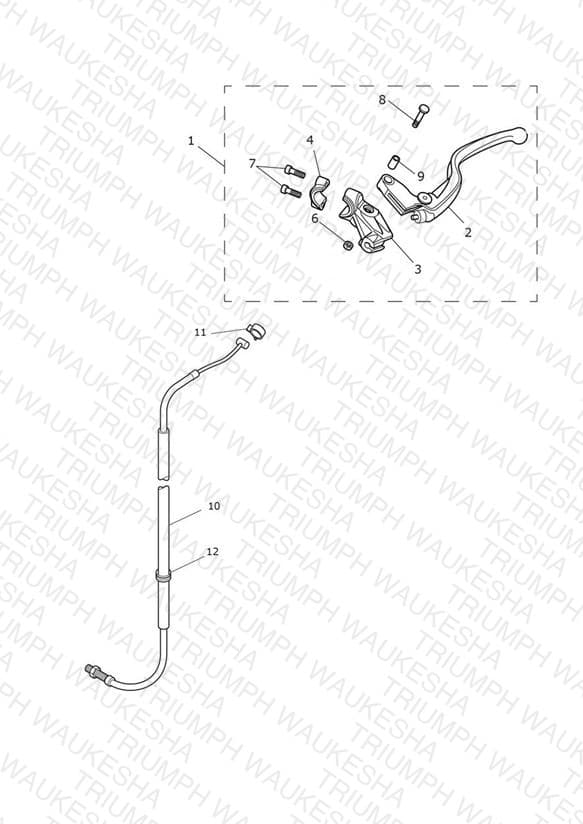 Assembly schematic